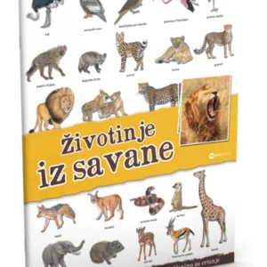 PANORAMA-ŽIVOTINJE IZ SAVANE