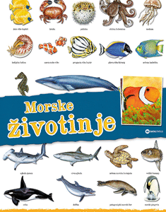 PANORAMA-MORSKE ŽIVOTINJE