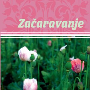 ZAČARAVANJE