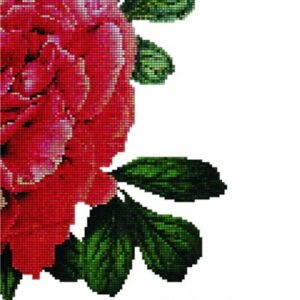 CRVENO POPUT NEVESTE