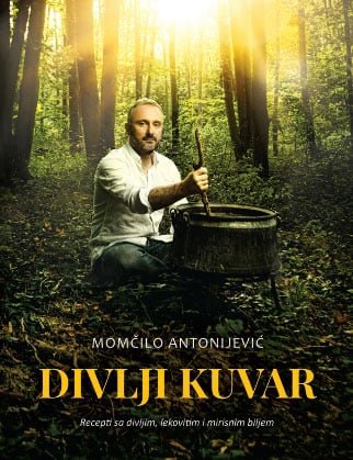 DIVLJI KUVAR