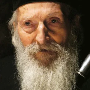 ŽIVOT SVECA