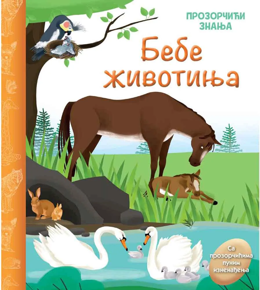 PROZORČIĆI ZNANJA-BEBE ŽIVOTINJA
