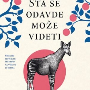 ŠTA SE ODAVDE MOŽE VIDETI