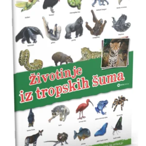 PANORAMA ŽIVOTINJE IZ TROPSKIH ŠUMA
