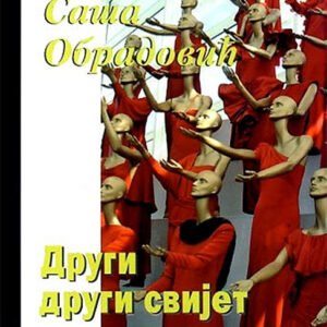 DRUGI DRUGI SVIJET