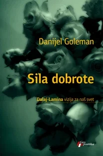 SILA DOBROTE - DALAJ-LAMINA VIZIJA ZA NAŠ SVET