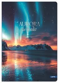 Sveska A4 96 listova Linije Aurora